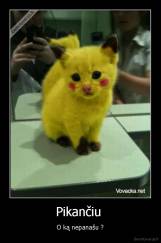 Pikančiu  - O ką nepanašu ?