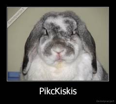 PikcKiskis - 
