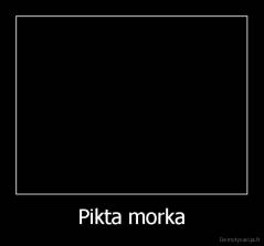 Pikta morka - 