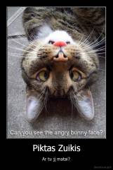 Piktas Zuikis - Ar tu jį matai?