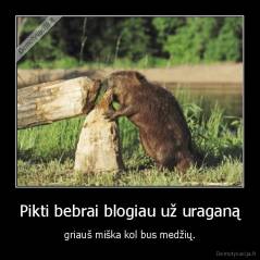 Pikti bebrai blogiau už uraganą - griauš miška kol bus medžių.