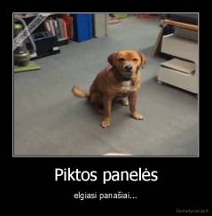 Piktos panelės - elgiasi panašiai...