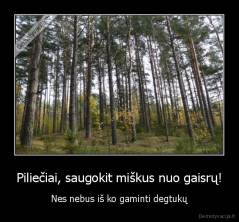 Piliečiai, saugokit miškus nuo gaisrų! - Nes nebus iš ko gaminti degtukų