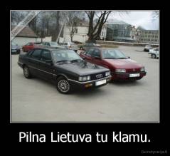 Pilna Lietuva tu klamu. - 