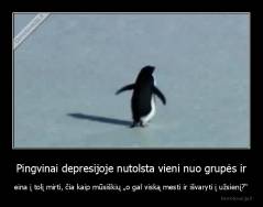 Pingvinai depresijoje nutolsta vieni nuo grupės ir - eina į tolį mirti, čia kaip mūsiškių „o gal viską mesti ir išvaryti į užsienį?“