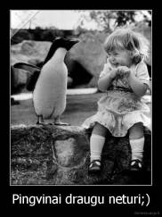 Pingvinai draugu neturi;) - 