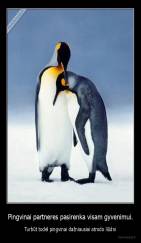Pingvinai partneres pasirenka visam gyvenimui. - Turbūt todėl pingvinai dažniausiai atrodo liūdni