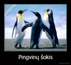 Pingvinų šokis - 