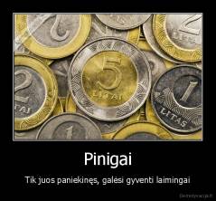 Pinigai - Tik juos paniekinęs, galėsi gyventi laimingai