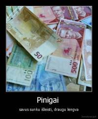 Pinigai  - savus sunku išleisti, draugu lengva