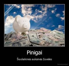 Pinigai - Šiuolaikinės auksinės žuvelės