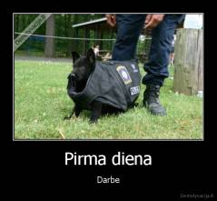 Pirma diena - Darbe