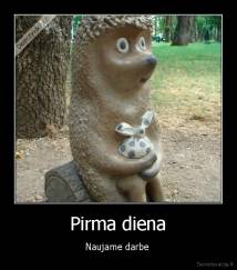 Pirma diena - Naujame darbe 