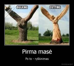 Pirma masė - Po to - ryškinimas