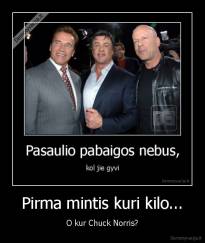 Pirma mintis kuri kilo... - O kur Chuck Norris?