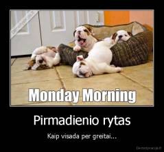Pirmadienio rytas - Kaip visada per greitai...