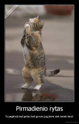 Pirmadienio rytas - Tu pagalvoji kad geriau buti gyvunu,jug jiems niek nereik daryt