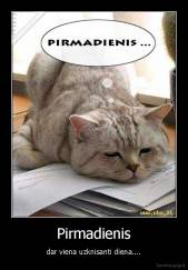 Pirmadienis - dar viena uzknisanti diena....