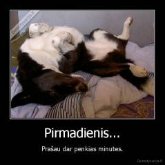 Pirmadienis... - Prašau dar penkias minutes.