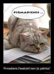 Pirmadienis.Pasakykit kam jis patinka? - 