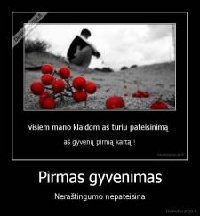 Pirmas gyvenimas - Neraštingumo nepateisina