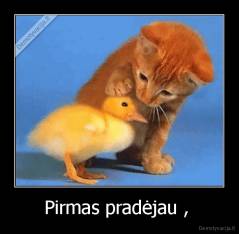 Pirmas pradėjau ,  - 