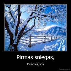 Pirmas sniegas, - Pirmos aukos