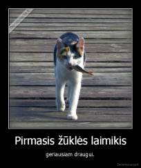Pirmasis žūklės laimikis - geriausiam draugui.