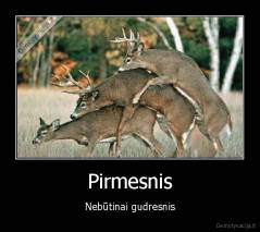 Pirmesnis - Nebūtinai gudresnis
