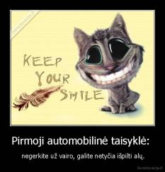 Pirmoji automobilinė taisyklė:  -  negerkite už vairo, galite netyčia išpilti alų.