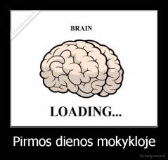 Pirmos dienos mokykloje - 