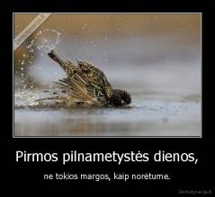 Pirmos pilnametystės dienos, - ne tokios margos, kaip norėtume.