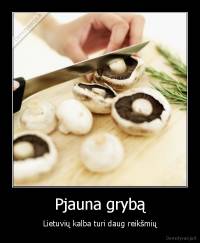 Pjauna grybą - Lietuvių kalba turi daug reikšmių