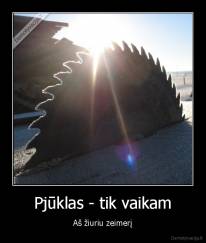 Pjūklas - tik vaikam - Aš žiuriu zeimerį