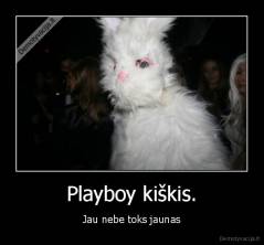 Playboy kiškis. - Jau nebe toks jaunas