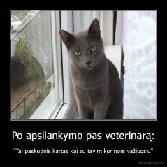 Po apsilankymo pas veterinarą: - "Tai paskutinis kartas kai su tavim kur nors važiuosiu"