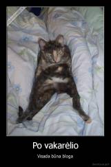 Po vakarėlio - Visada būna bloga