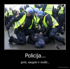 Policija... - ginti, saugoti ir mušti...