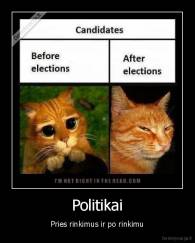 Politikai - Pries rinkimus ir po rinkimu