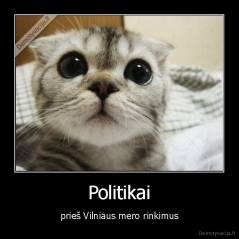 Politikai - prieš Vilniaus mero rinkimus