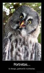 Portretas... - to draugo, gadinančio nuotraukas.