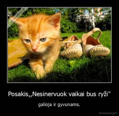 Posakis,,Nesinervuok vaikai bus ryži" - galioja ir gyvunams.