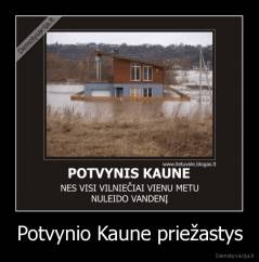 Potvynio Kaune priežastys - 