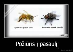 Požiūris į pasaulį - 