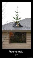 Praeitų metų  - eglutė