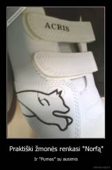 Praktiški žmonės renkasi "Norfą" - Ir "Pumas" su ausimis