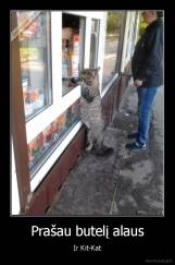 Prašau butelį alaus - Ir Kit-Kat