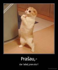 Prašau,- - dar lašelį pienuko!!