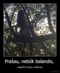 Prašau, nebūk balandis,  - neapš*k mano mašinos.