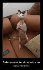 Prašau, pasakyk, kad gimtadienio proga - nupirkai man kailinius!